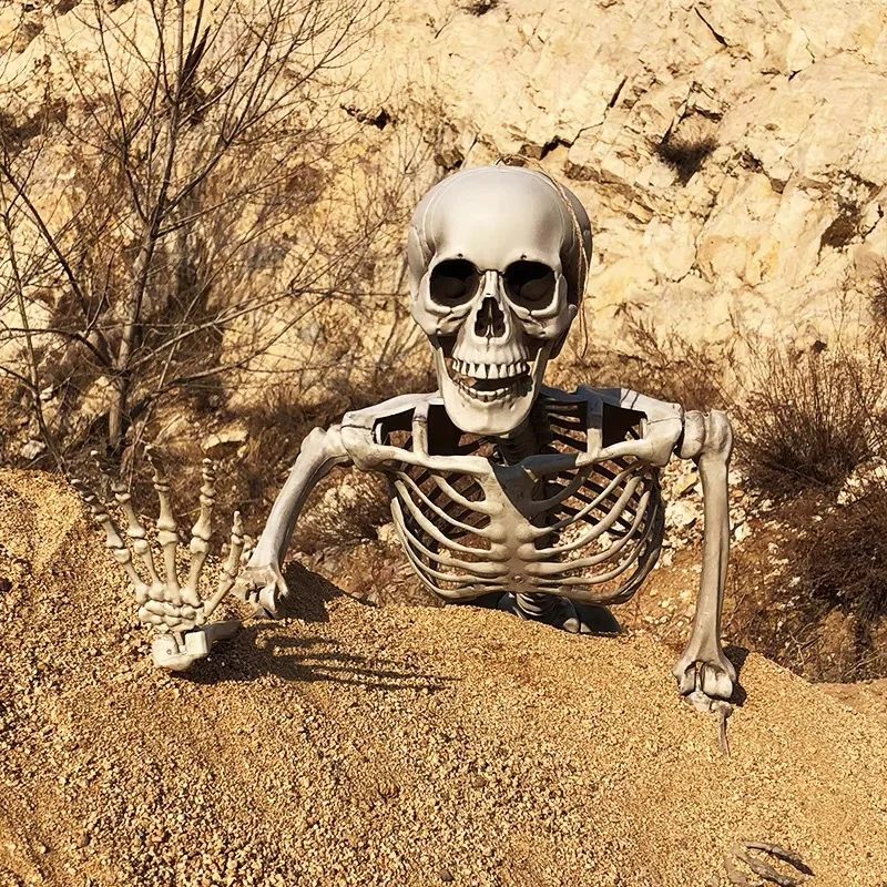 Скидка Украшение для Хэллоуина, скелет для дома с привидениями, 90 см, пластиковый череп, скелет для бара, Хэллоуин, косплей, скелет для детей Цена Украшение для Хэллоуина, скелет для дома с привидениями, 90 см, пластиковый череп, скелет для бара, Хэллоуин, косплей, скелет для детей