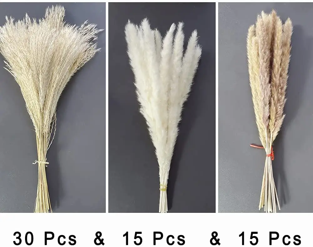 

60 Pcs 15 Pcs White Pampas & 15 Pcs Brown Pampas & 30 Pcs Reed GrassNatural Dried Pampas Grass for Flower Arrangements Home Dec