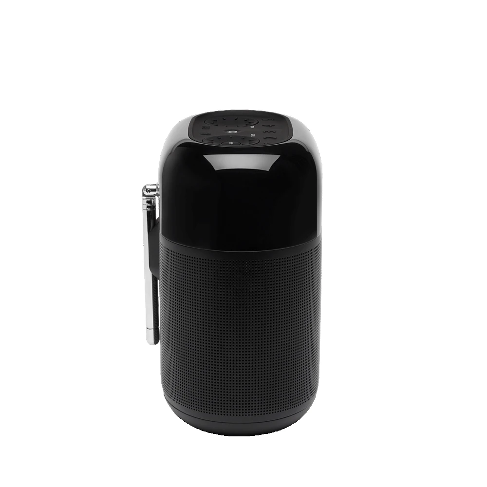 Портативная колонка JBL Tuner XL (JBLTUNERXLFMBLKRU) черный |