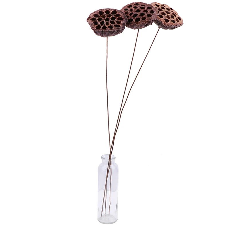 1 шт лотоса Натуральные сушеные цветы фермерский дом букет растения ветка