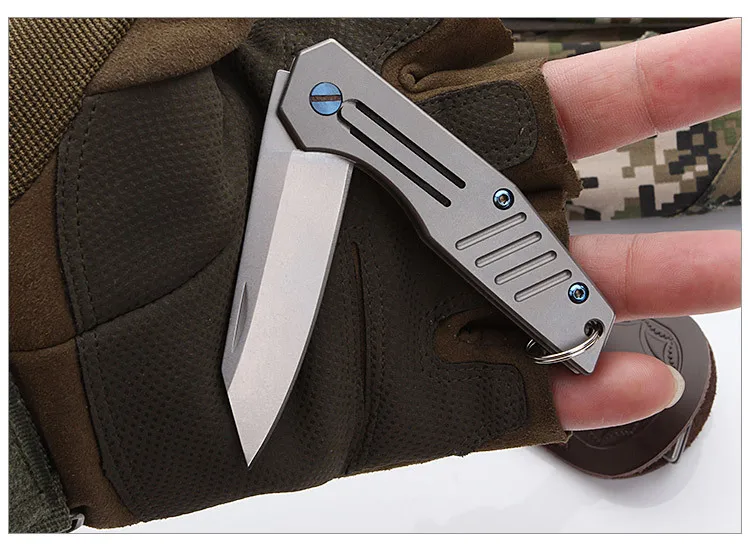

Folding-Knife D2 Blade Pocket Camping Hunting Outdoor Knives Titanium Handle