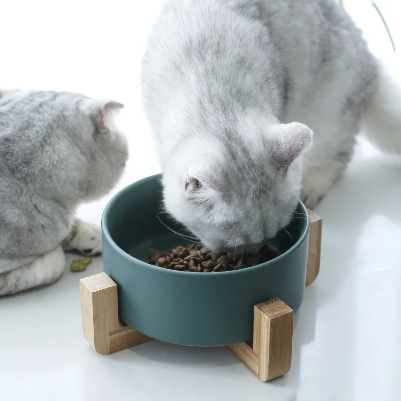 

850ml Cat bowl ceramic dog cat food bowl water feeder pet bowl with stand wood pet supplies