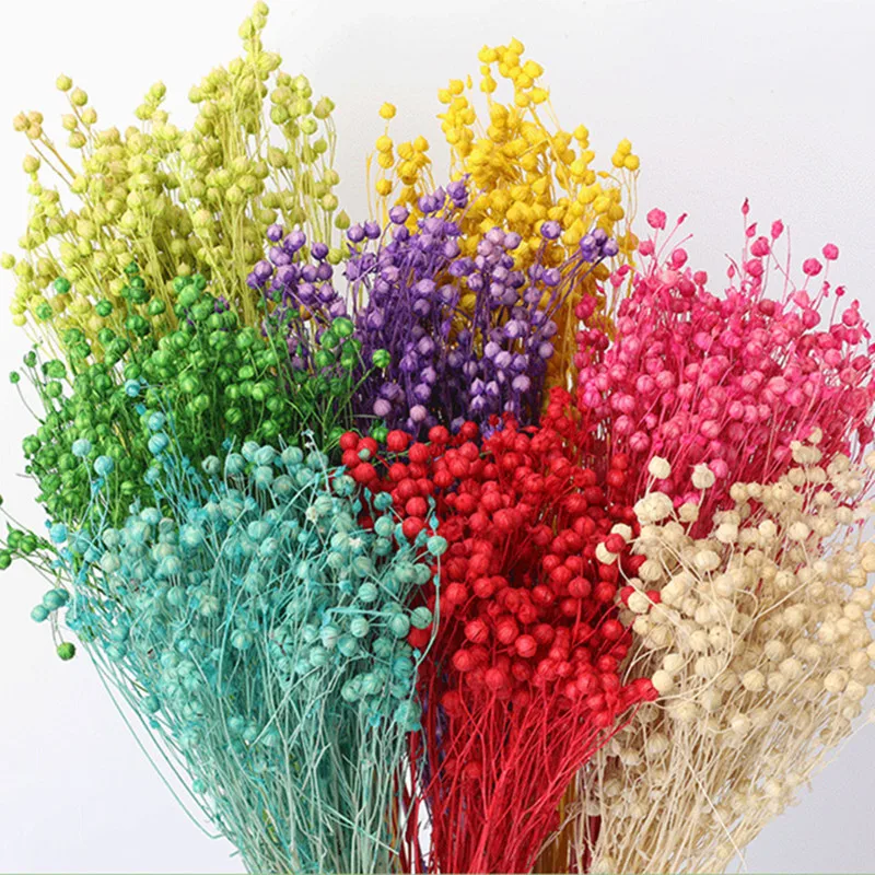 

Real Dried Flower Bouquet DIY Perpetual Living Room Gradient Lagurus Ovatus Wedding Home Decoration Flores Preservadas Wholesale