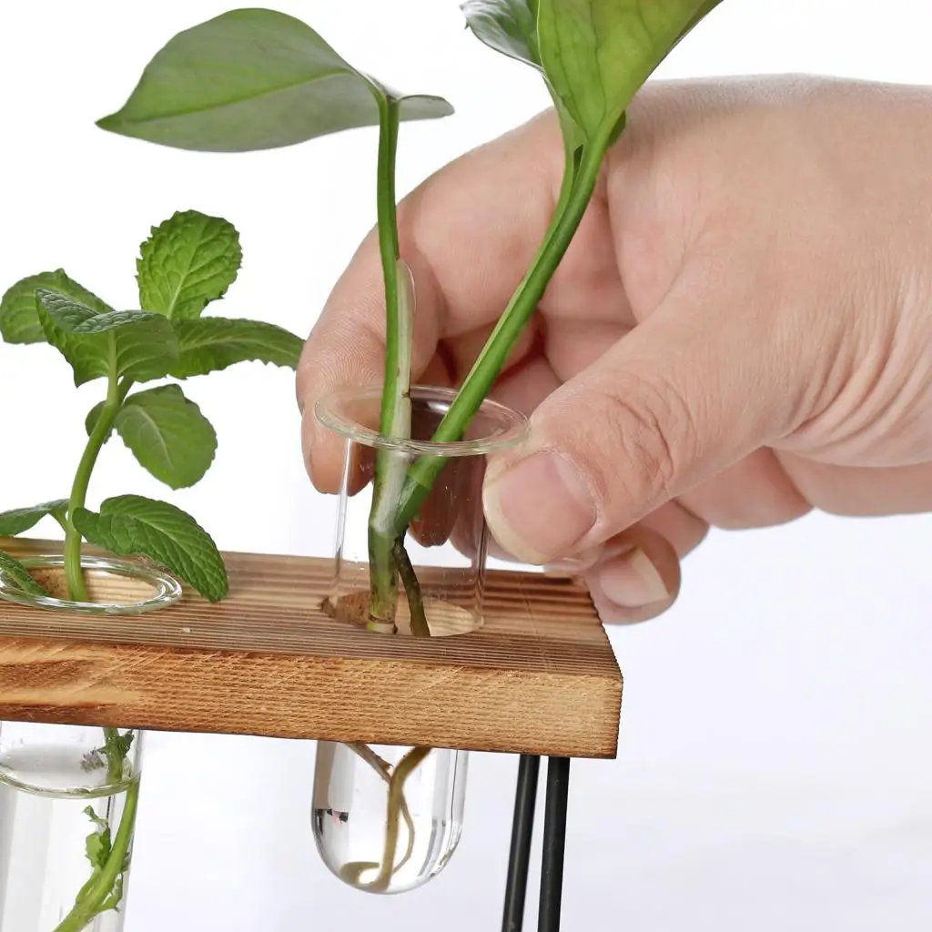 Прозрачная стеклянная ваза подвесной Террариум с ретро твердой деревянной