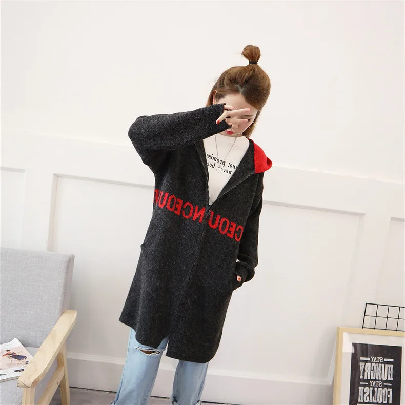 Autumn Hooded Jacket Female Sweater 2019 Long Sleeve Loose Cardigan Women Casual Pocket Zipper Knit Outwear |