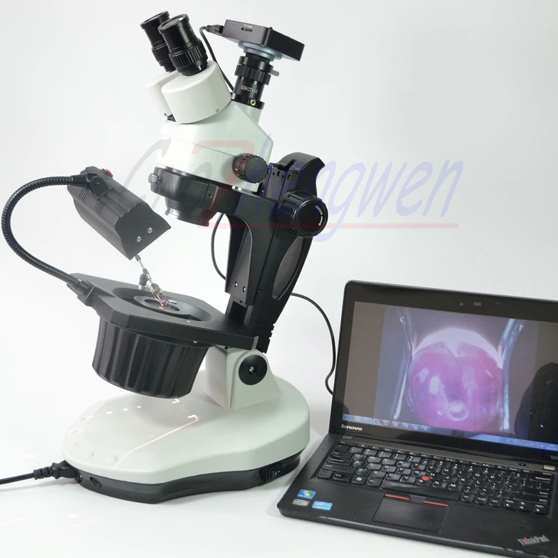 

FYSCOPE 3.5X-90X Stereo Zoom Microscope 7X-45X Advanced Jewel Gem Stereo Zoom Microscope +HDMI Camera