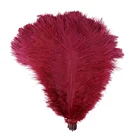 Перья страусиные, 10-12 дюймов, 1050100 шт.