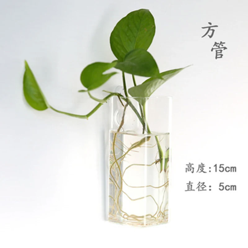 Creative Hanging Hydroponic Plant Glass Vase Wall Transparent Flower Pot Green Dill Small Fish Tank Modern | Дом и сад