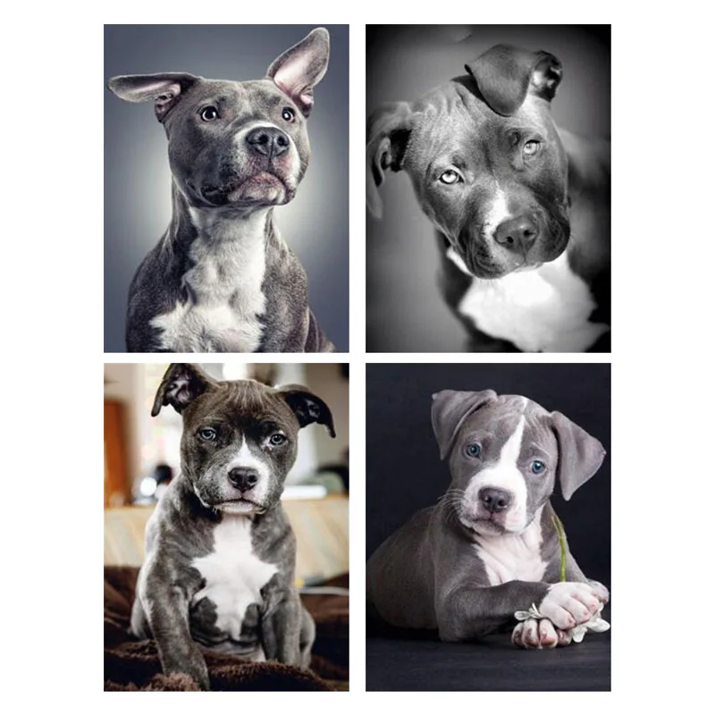 

Full Square Dog 5D Diy Diamond Painting Living Room Home Decor Mosaic Animal Diamond Cross Stitch Art Full Drill Embroidery