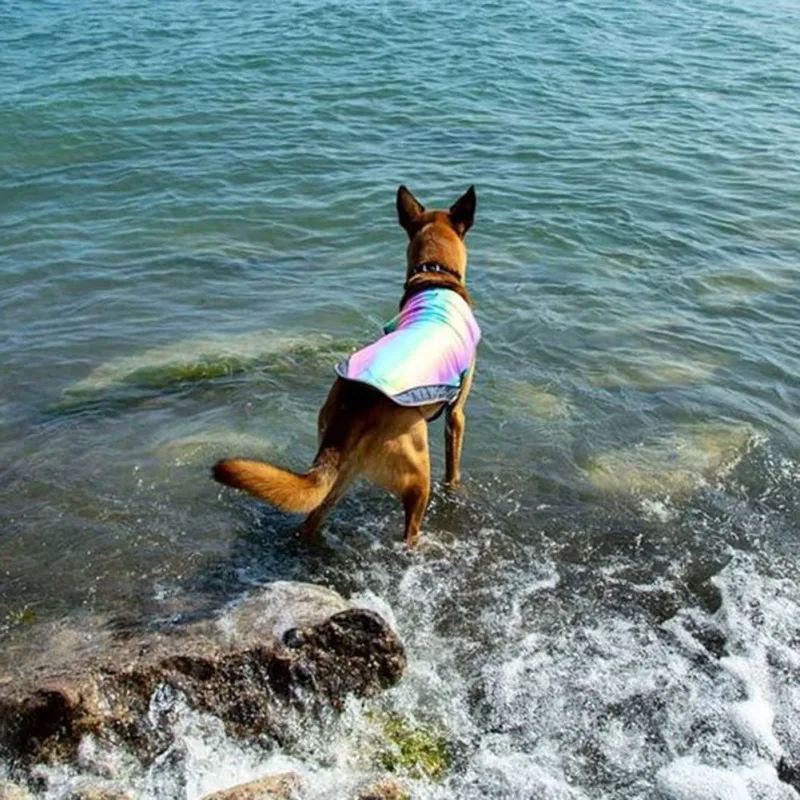 

Summer Cooling Pet Clothes Outdoor Fat Dog Vest Shirt Clothes Dogs Vest French Bulldog Clothing For Dogs Cooling Costume Pug