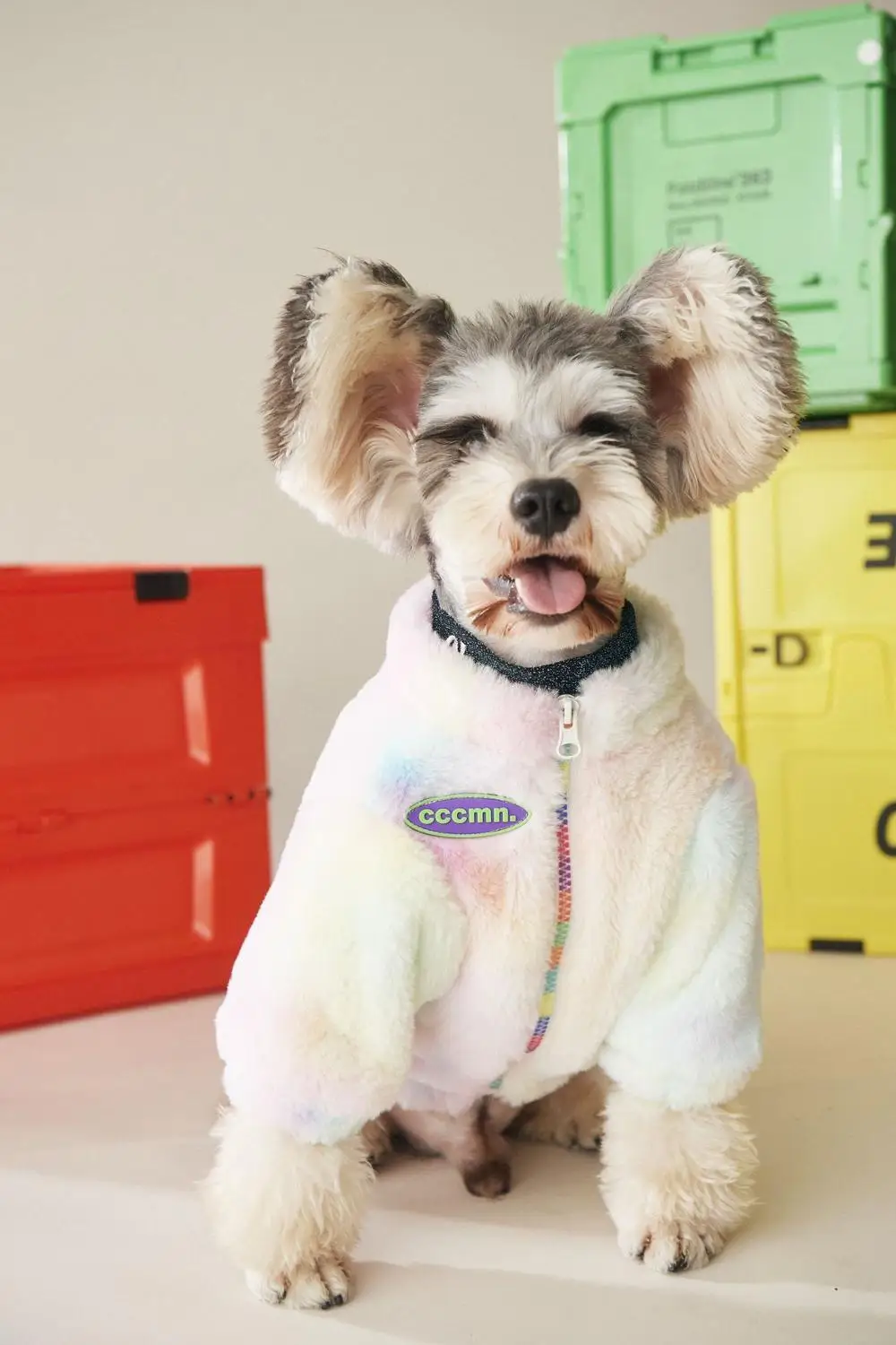 На зимнем меху куртка для собак 2020 юбки пачки радужной расцветки малых и средних