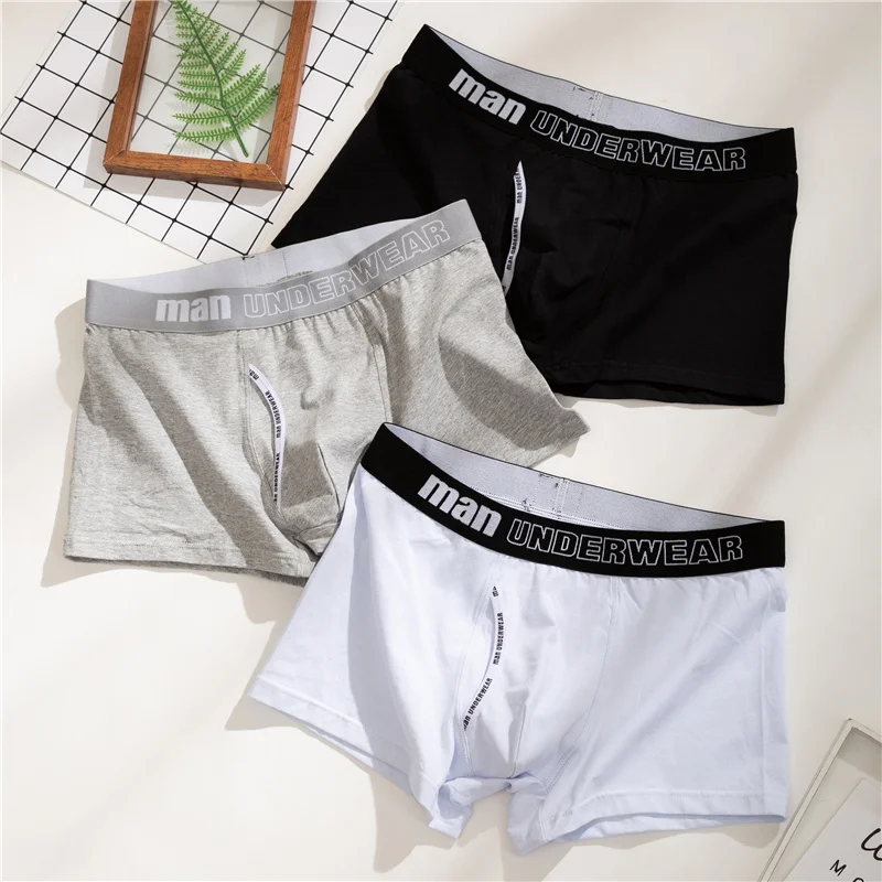 

Hot Sale Men Underwear Sexy Men Briefs Mesh Breathable Comfortable Underpants U Pouch Male Panties Cueca Tanga Slip Homme