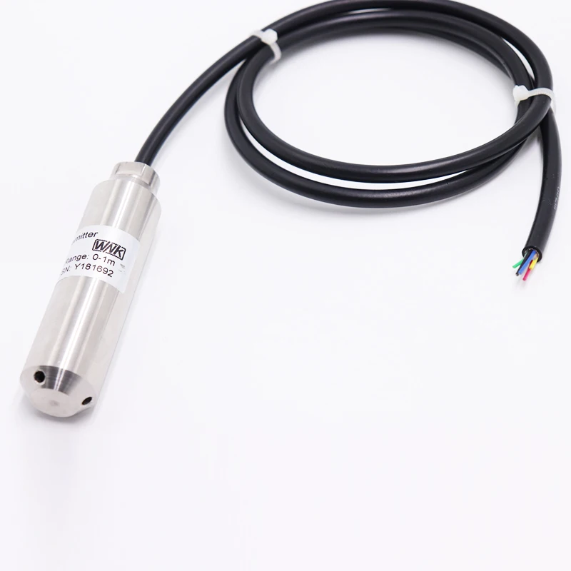 

4-20mA RS485 Hydraulic Submersible Level Sensor With LCD Display