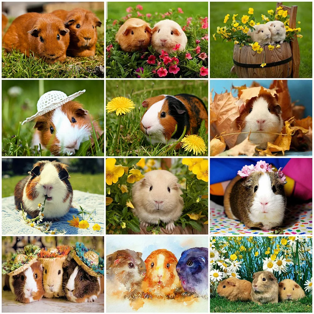 

HUACAN 5D алмазная картина морская свинка полный квадратный набор со стразами Алмазная вышивка животное мозаика Вышивка крестом ручной работы ...