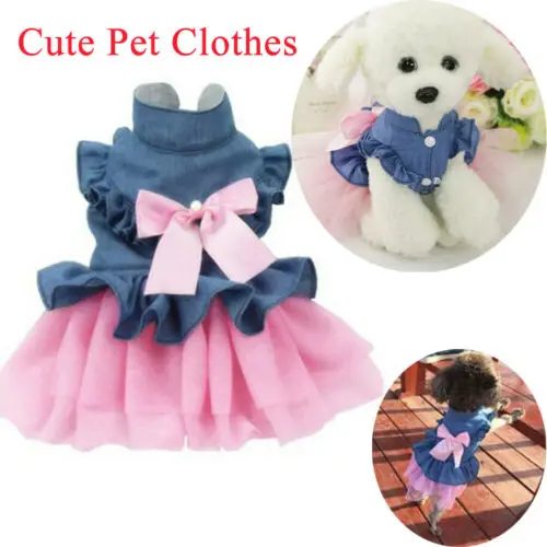 Платье-пачка для маленьких собак и кошек модная Одежда питомцев юбка щенков