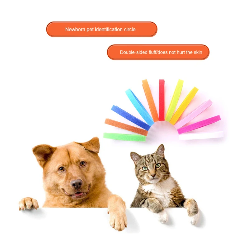 

12 Pcs/Set Puppy Newborn Pets Identify Collars Adjustable Nylon Small Pet Dog Collars Kitten Necklace Puppy Collars