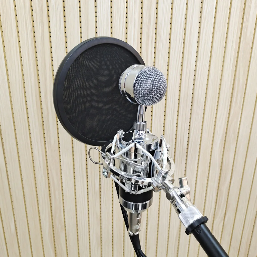 

1Pc Double-layer Microphone Mic Wind Screen Blowout Preventer for Broadcasting