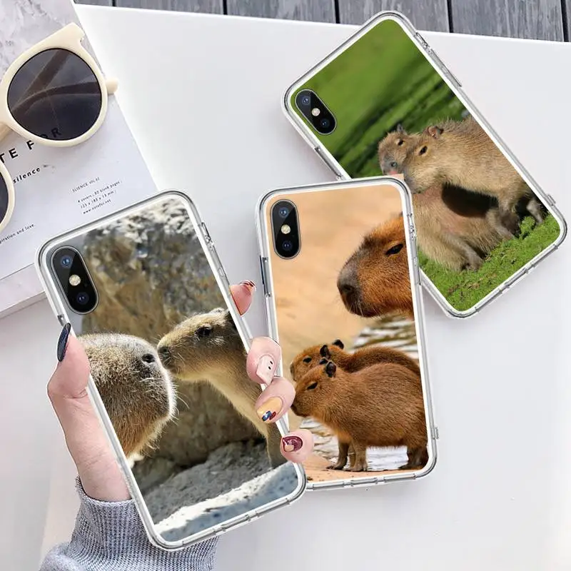 

Capybara cute animal Phone Case Transparent for iPhone 6 7 8 11 12 s mini pro X XS XR MAX Plus