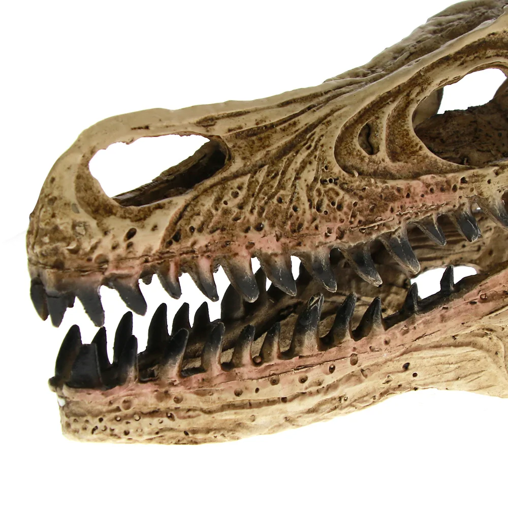 Высокоточная обучающая модель [MGT] Velociraptor Fossil Resin Skull Dinosaur череп динозавра