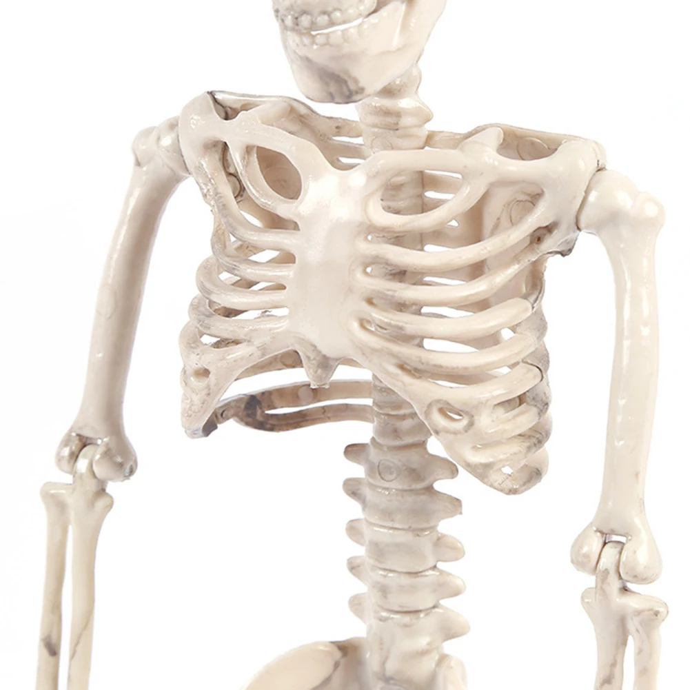 Реквизит для Хэллоуина скелет человека полный размер череп ручная жизнь тело