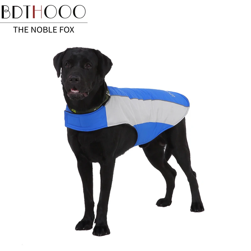 BDTHOOO пальто для собак маленьких щенков куртка чихуахуа водонепроницаемые