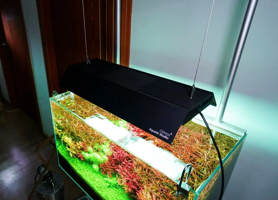 

Chihiros WRGB II 2 LED Light Built in Bluetooth APP Control Aquarium Water Plant Aquarium Lighting