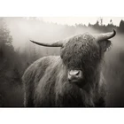 5D полностью квадратная круглая дрель Diy Алмазная вышивка ручной работы мозаика Highland-Cattle Buffalo картина домашняя DecorationsZP-2746