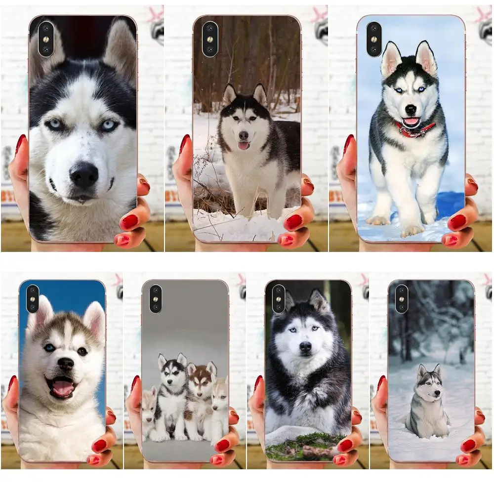 Мягкий модный чехол щенок Хаски милая собака для Apple iPhone 4 4s 5 5C 5S SE 6 6S 7 8 11 Plus Pro X XS Max