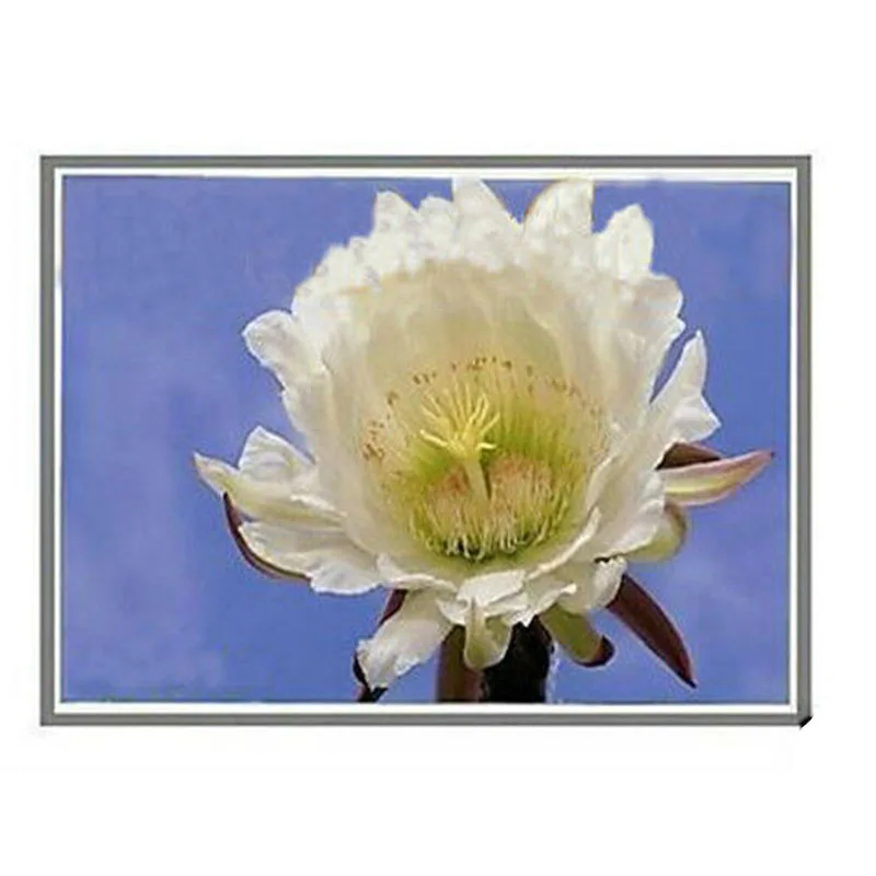 Beste Jianglun 921322-001 SPS-LCD Scharnier Up 17.3 Fhd Uwva Ag W/Cam Ts Lcd Led Screen Panel