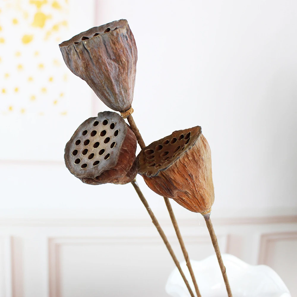 

1Pcs Lotus Natural Dried Flowers Farmhouse Bouquet Plant Branch Fall Decorations For Home Party Office Decorative Pressed Floral