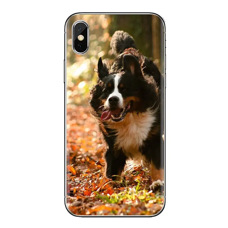 TPU Cover Bag Bernese Mountain Dog puppy Berner For Sony Xperia Z Z1 Z2 Z3 Z5 compact M2 M4 M5 E3 T3 XA Aqua LG G4 G5 G3 G2 Mini |