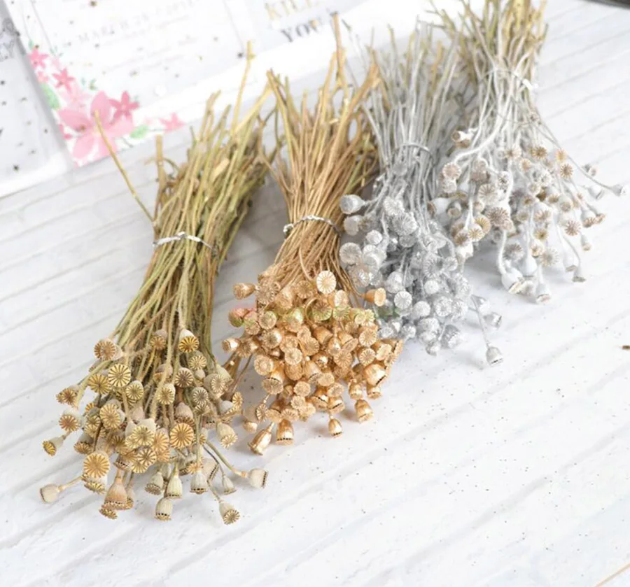 

1 bundle 30g Preserved Dried Papaver Rhoeas Poppy Pods Flower For Craft Gift Material Accessory Decoration Flower Arranging DIY