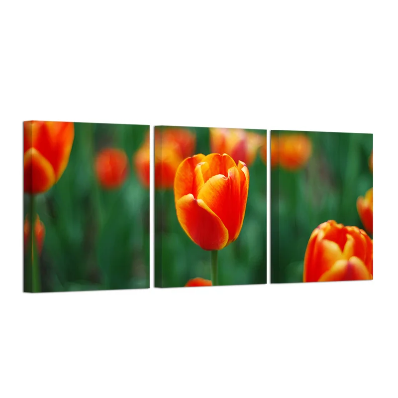 

Flowers Canvas Painting Orange Tulip Wall Art Poster 3 Pieces Beautiful Flowers HD Print Home Decor Modern Picture
