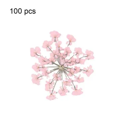 

Прессованные цветы Ammi Majus для декорирования телефонов AcesoriesCraft
