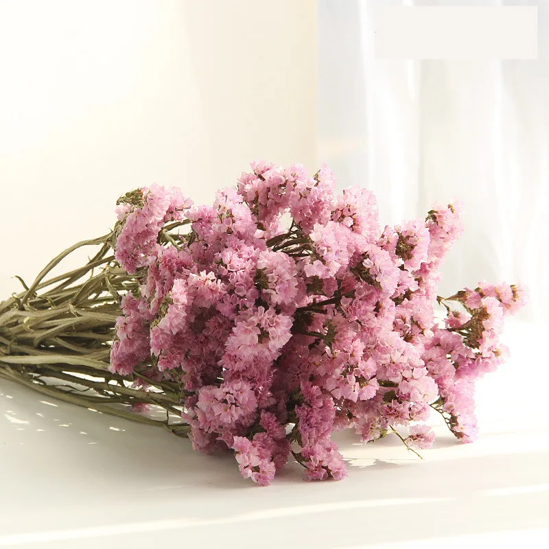 10 шт. консервированные свежего сушенного забывчивых цветами филиалом украшение