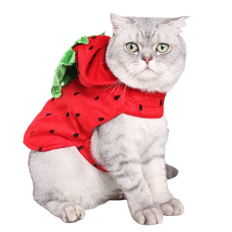 Одежда для собак с домашними животными костюм животных принтом клубники Костюм