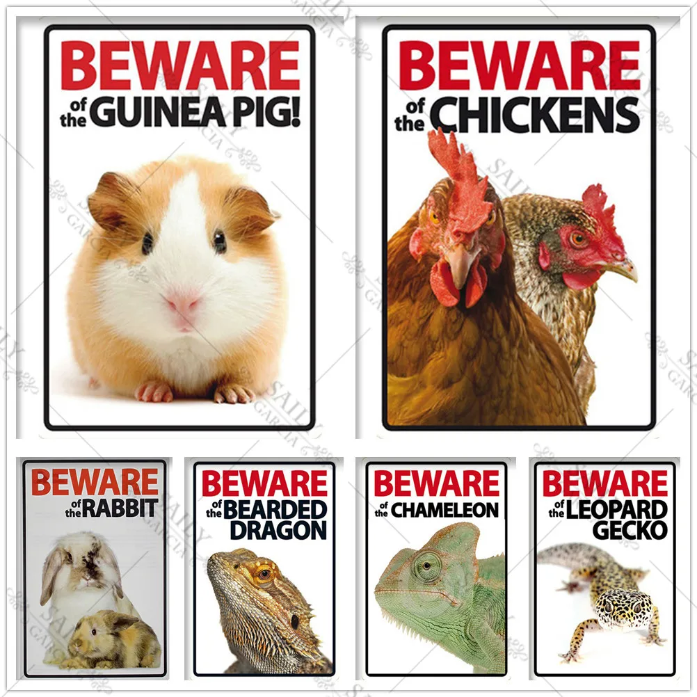

Beware of The Guinea Pig Funny Cartoon Metal Tin Signs Vintage Home Decor Metal Posters Animals Pet Metal Wall Art Plates Plaque