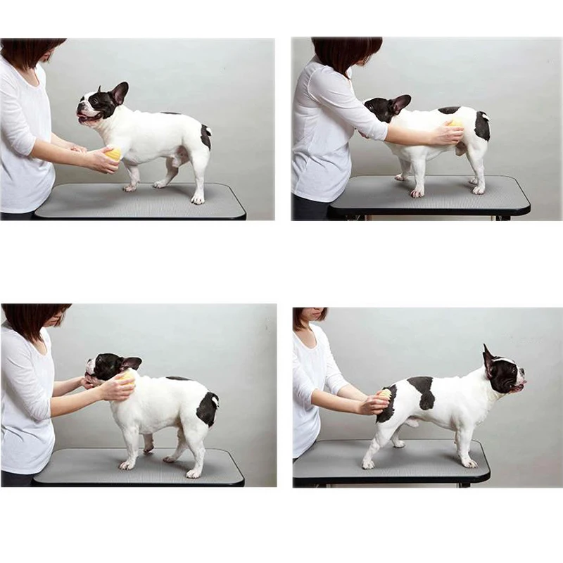 

Pet Washer Dog Cat Massage Brush Comb Cleaner Puppy Wash Tools Soft Gentle Silicone Bristles Quickly Cleaing Brush Dropshipping