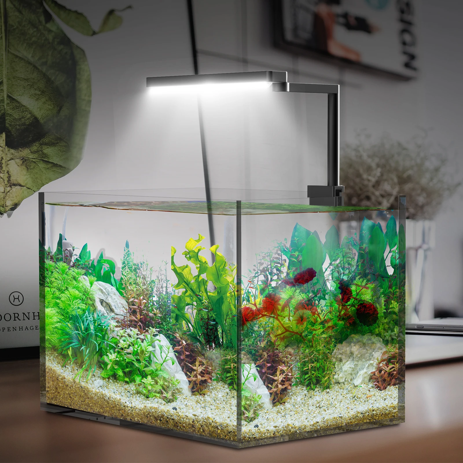 

Chihiros C2 Full Spectrum Dimmable Aquarium LED Light with Bluetooth Controller Built-in Suite for Mini Nano Aquatic Tanks