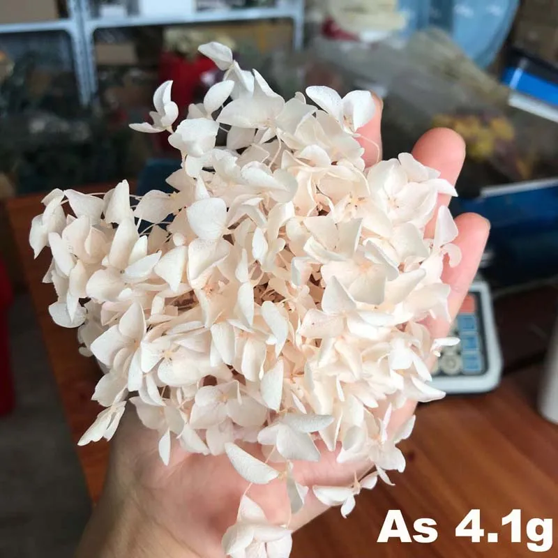 4-4 5 г/лот высококачественные натуральные свежие консервированные цветы сушеные