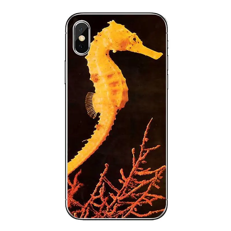 For Samsung Galaxy Note 8 9 S9 S10 A8 A9 Star Lite Plus A6S A9S Soft Transparent Cases Covers sea horse Rainbow Seahorse Pattern |