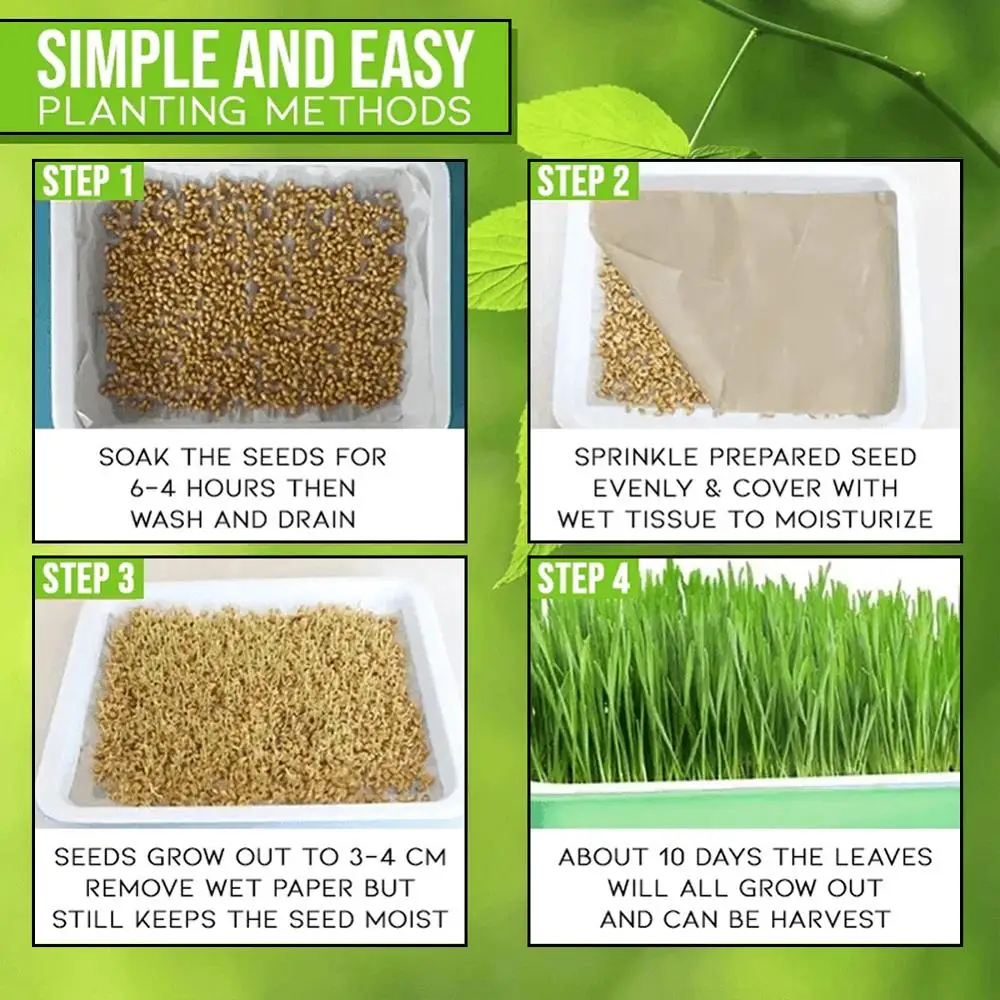 Двухслойный поднос для рассады пластиковая гидропонная корзина цветов без почвы