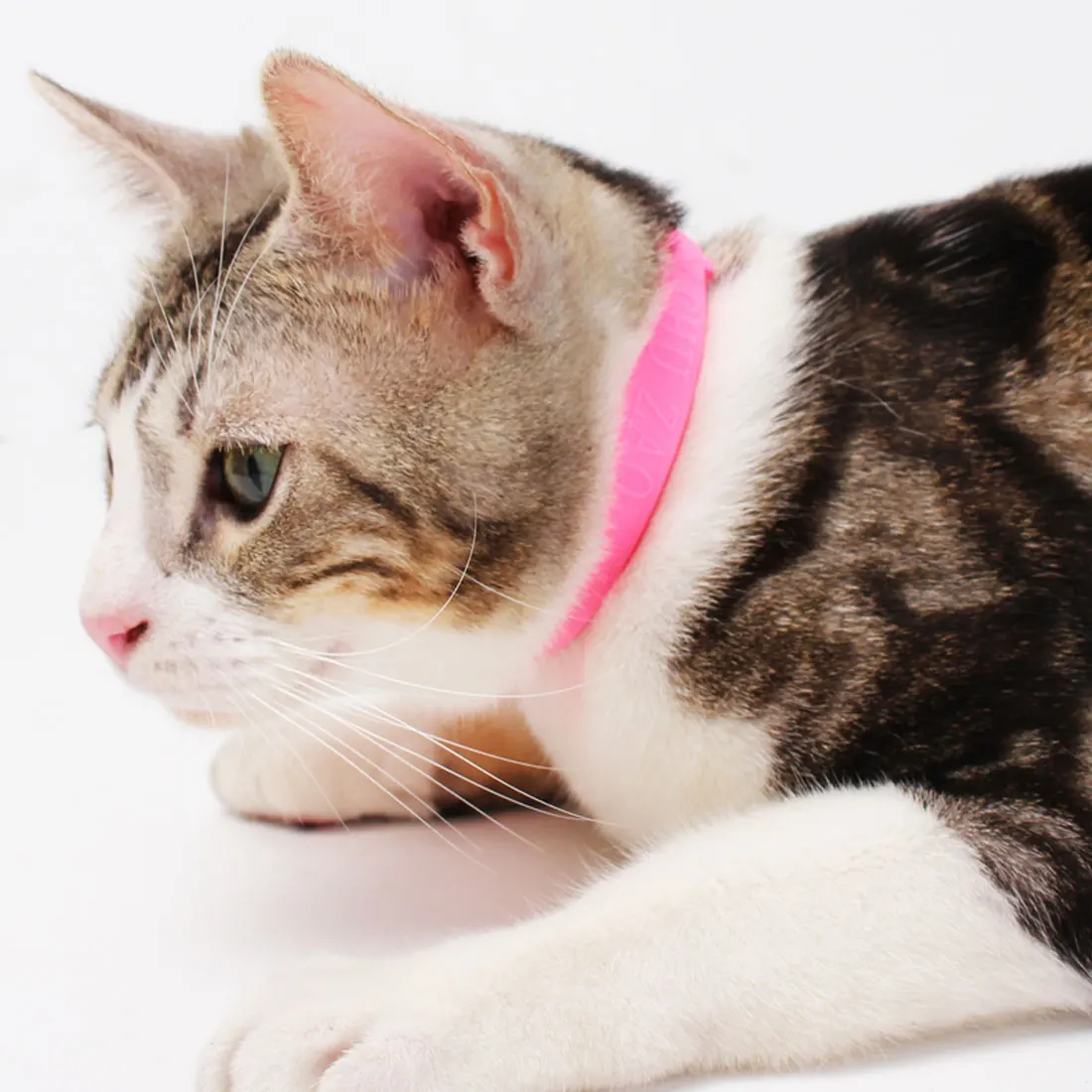 

Anti Flea Cat Collar Pet Dog Puppy Cats Kitten Outdoor Mosquito Repellent Neck Strap