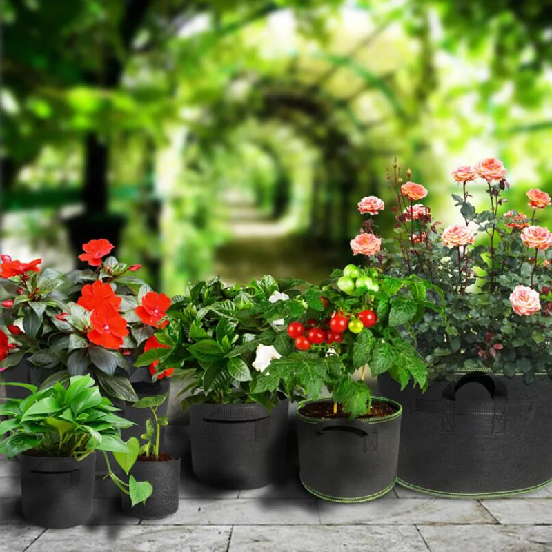 

5pcs 1 3 5 10 gallon fabric plant Grow Bags tree growing Pots garden Vegetable potato flower Planting Container Nursery pots bag