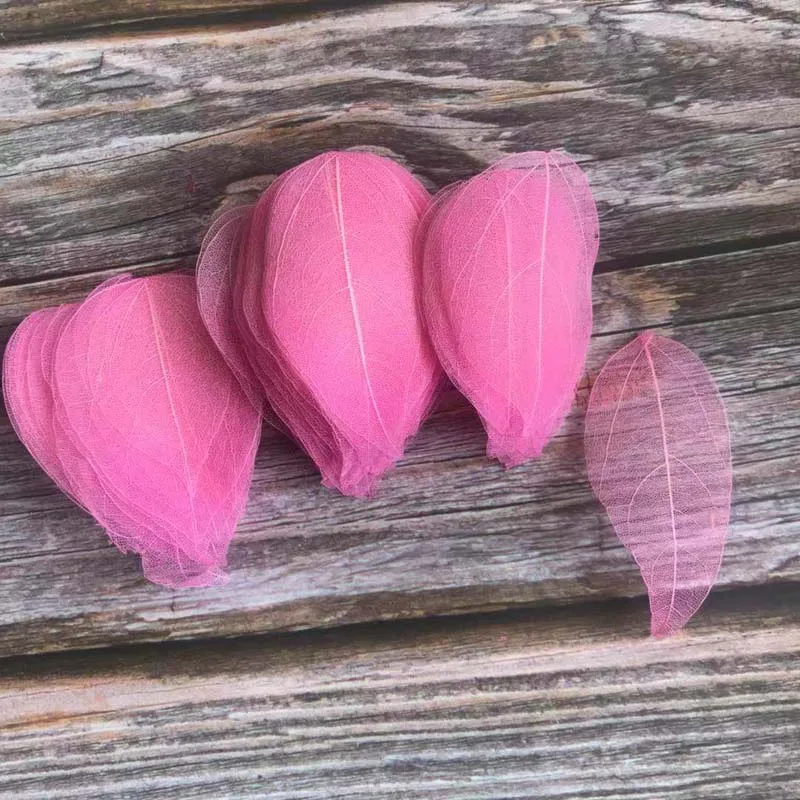 Сушеные листья ваджры NYAConfetti 95 шт.