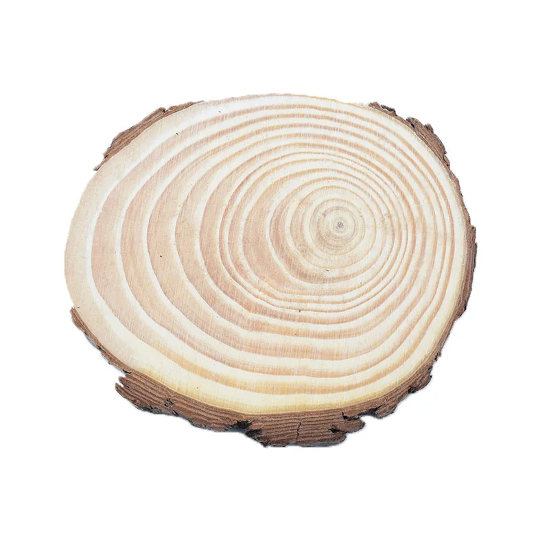 2pcs 10CM 6-15 см толщиной 1 упаковка из натуральной сосны круглые необработанные деревянные ломтики круги с деревом коры бревна диски DIY ремесла Свадебная вечеринка живопись - Цвет: 2pcs 10CM