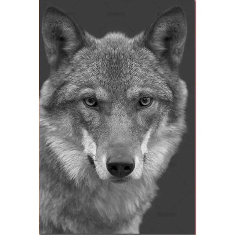 Набор для рисования по номерам на холсте волка 40 х50 см|Картины номерам| |