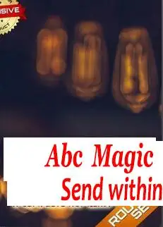 

2020 Monte Routine by Al Leech - magic tricks