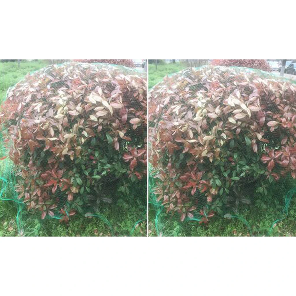 

3 Sizes for Choosing Green Anti Bird Net Lightweight Protection Crops Flower Garden Protection Tool