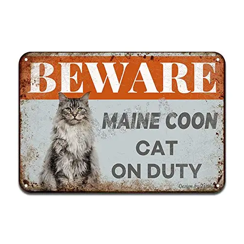 Остерегайтесь Мейн-енот кошка на работу железный постер картина жестяной знак